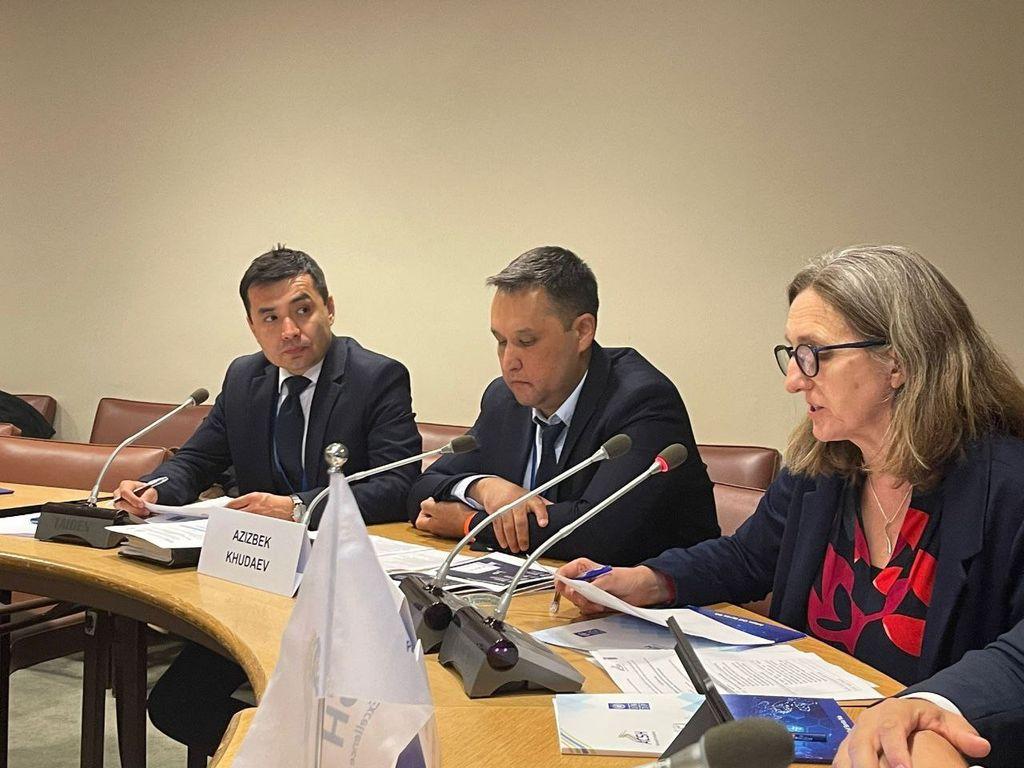 Representatives of the Digital Government Project Management Center actively participate in the event organized by UNDESA and UNDP