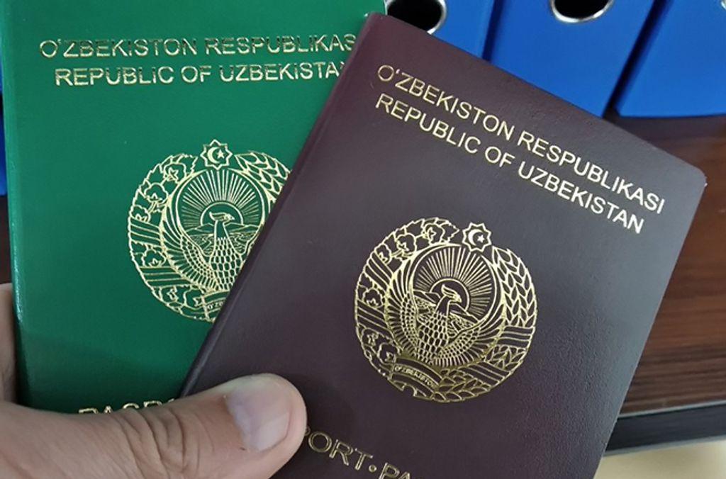 Определен порядок получения биометрического паспорта для выезда за рубеж через ЕПИГУ
